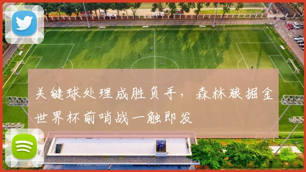 关键球处理成胜负手，森林狼掘金世界杯前哨战一触即发