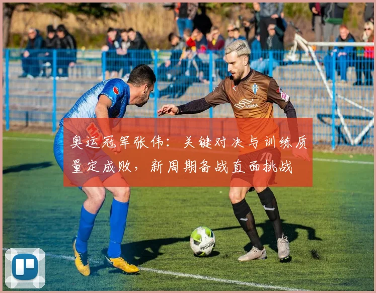 奥运冠军张伟：关键对决与训练质量定成败，新周期备战直面挑战