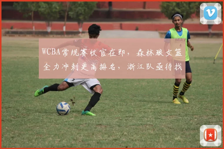 WCBA常规赛收官在即，森林狼女篮全力冲刺更高排名，浙江队亟待找回状态