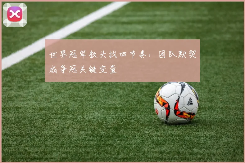 世界冠军教头找回节奏，团队默契成争冠关键变量