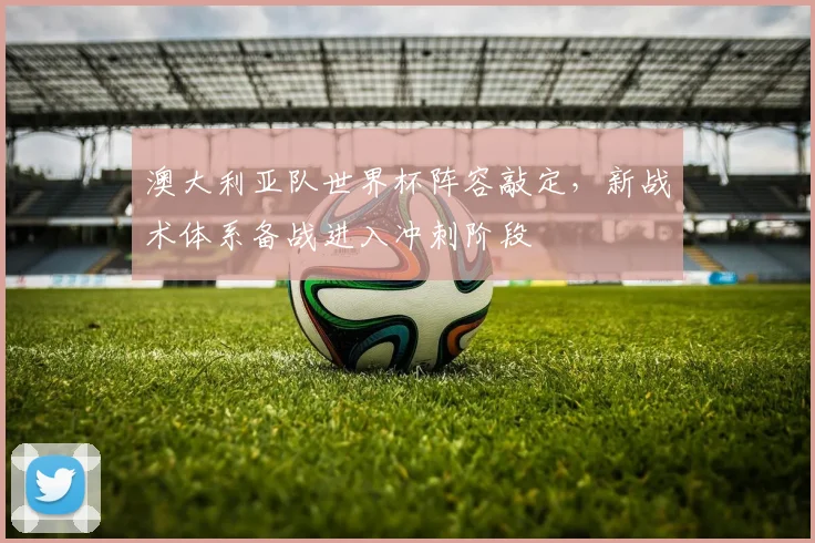 澳大利亚队世界杯阵容敲定，新战术体系备战进入冲刺阶段